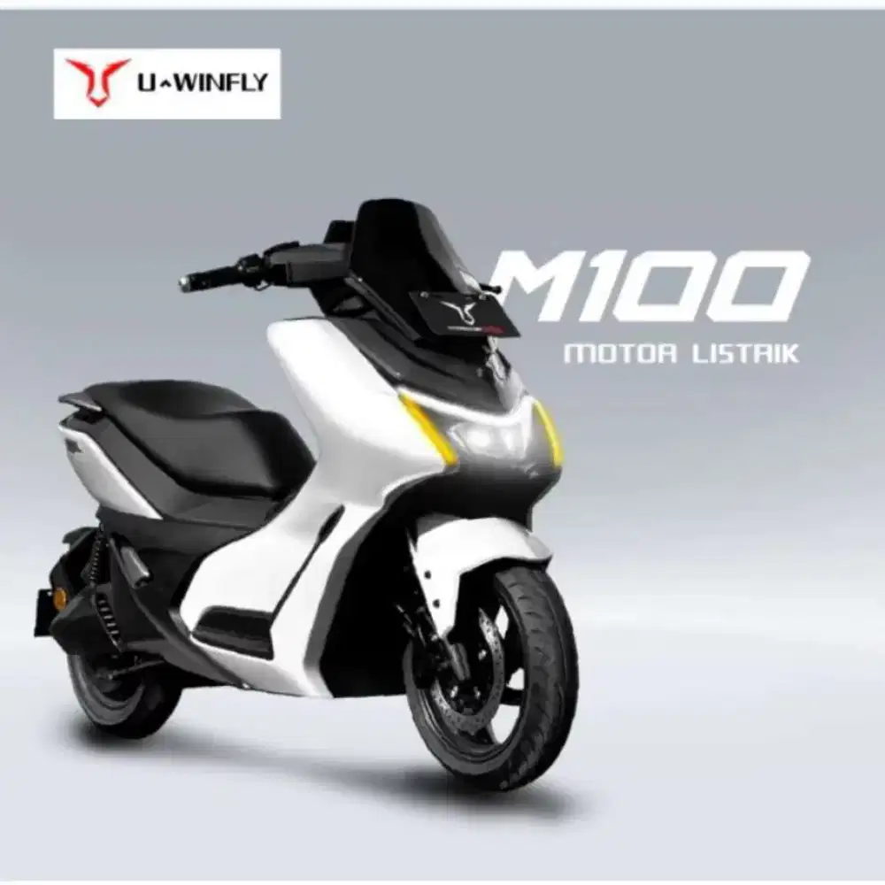 Molis uwinfly M100