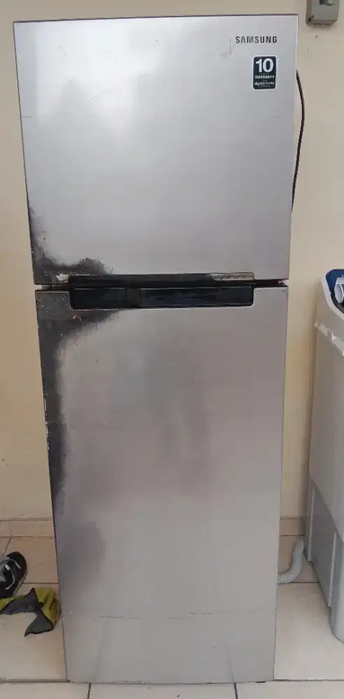KULKAS SAMSUNG 2 PINTU NORMAL KAPASITAS JUMBO