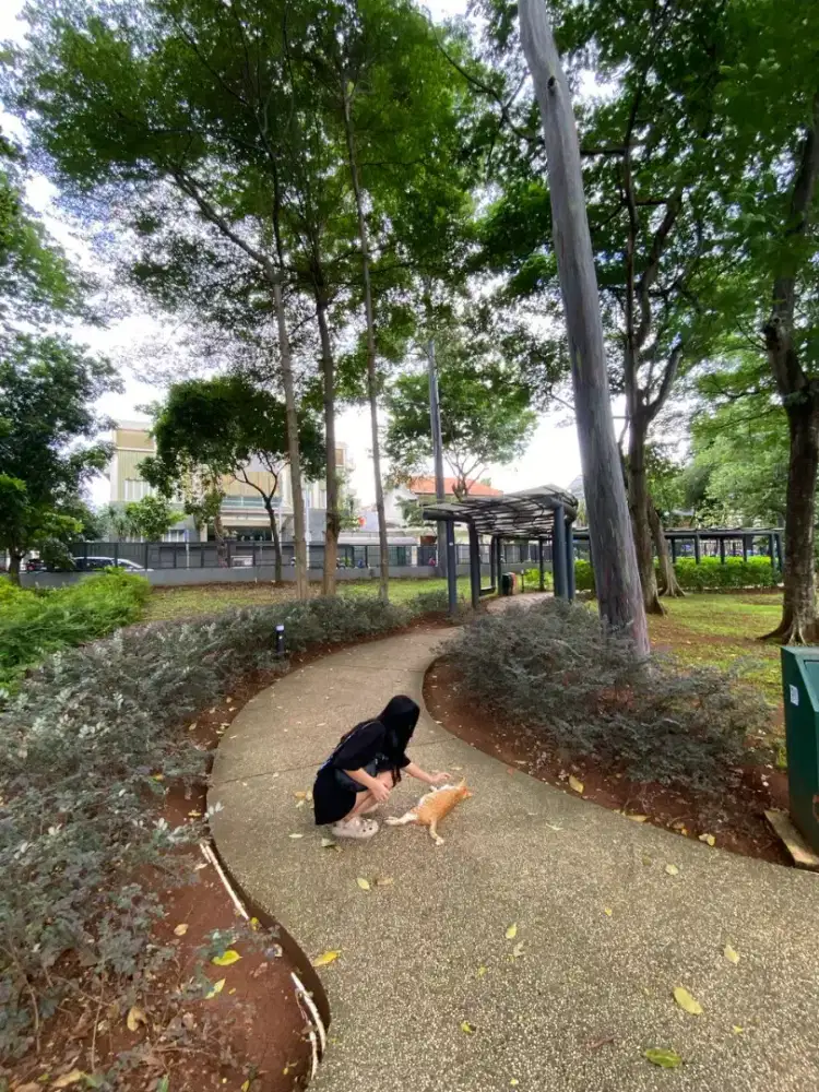 Mencari loker freelance apapun