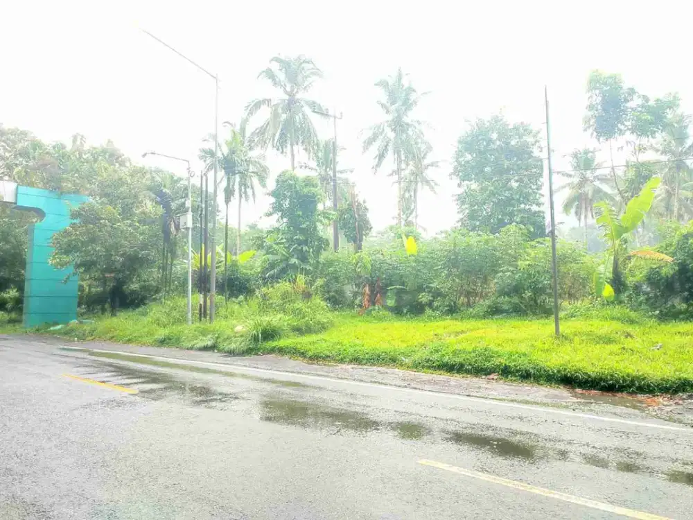 Dijual Tanah 6ha diKalibaru Banyuwangi