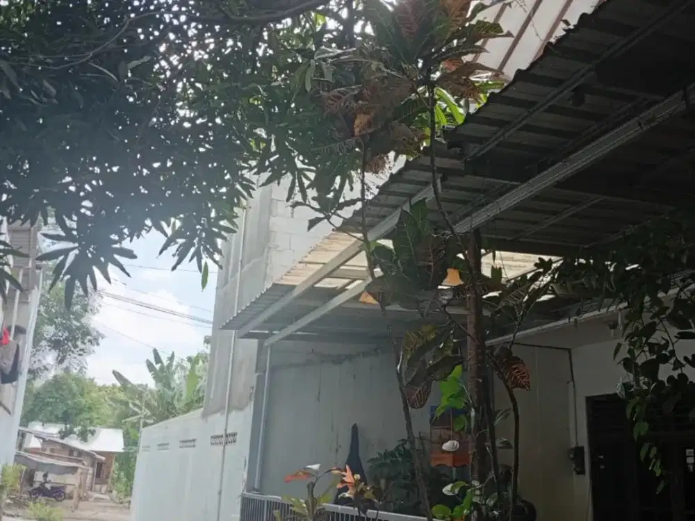 Rumah Lelang Strategis di Sleman, Dekat UGM dan Fasilitas Umum