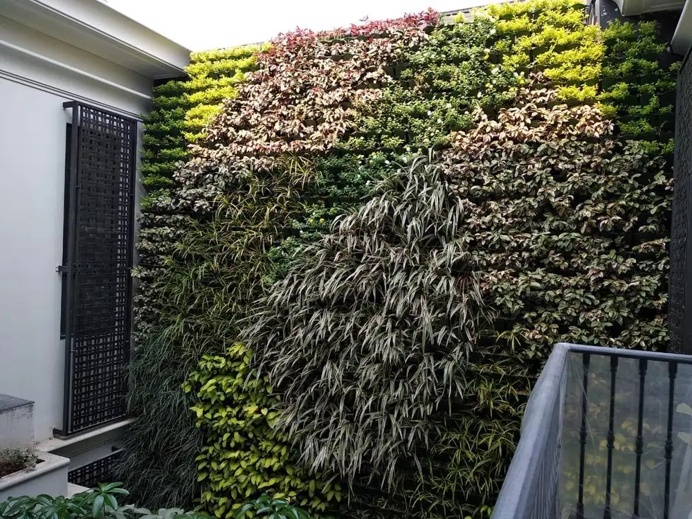Greenwall dan kaca film