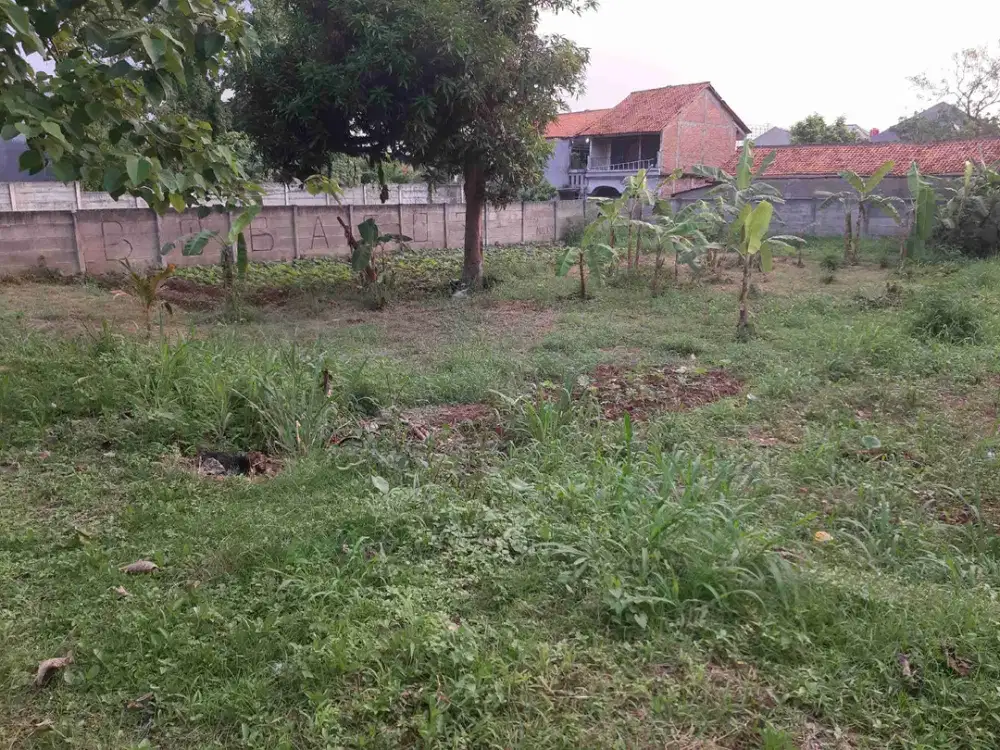 Tanah Darat Cocok buat Cluster di Ciputat Timur