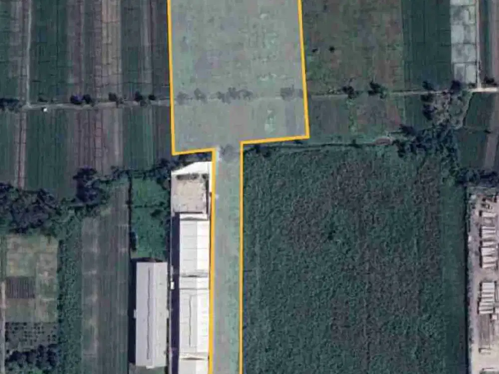 Di jual tanah raya dlanggu