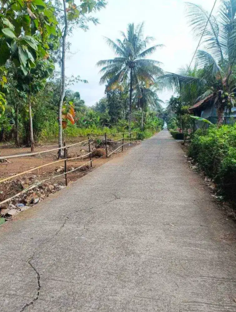 Dijual Tanah SHM Luas 500 meter