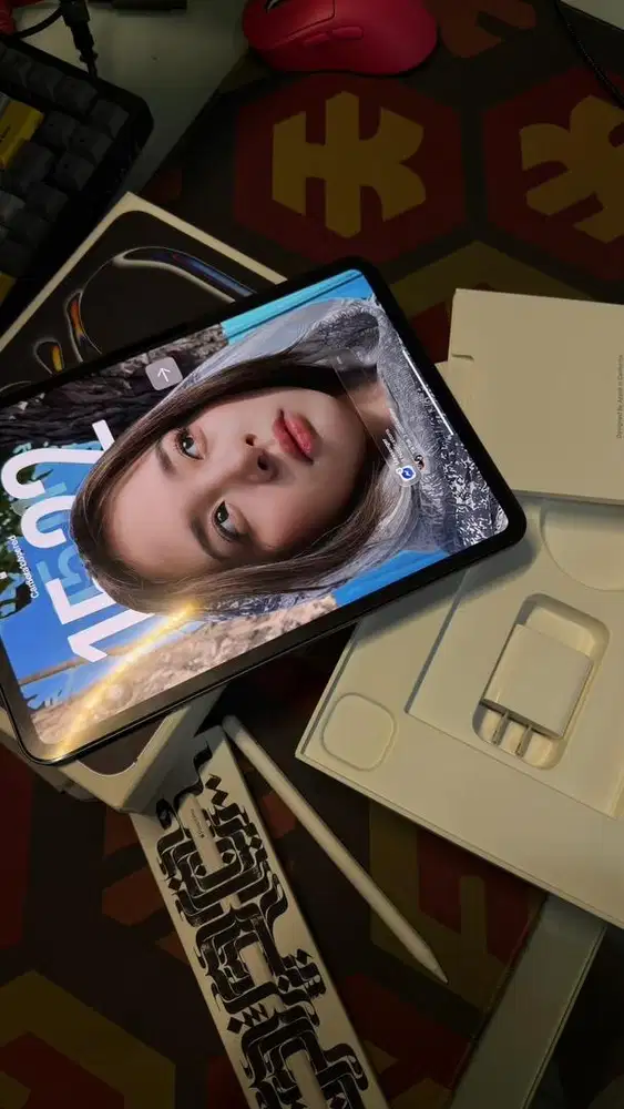 Ipad Pro M4 11' inch 256GB Garansi Inter BH 97%