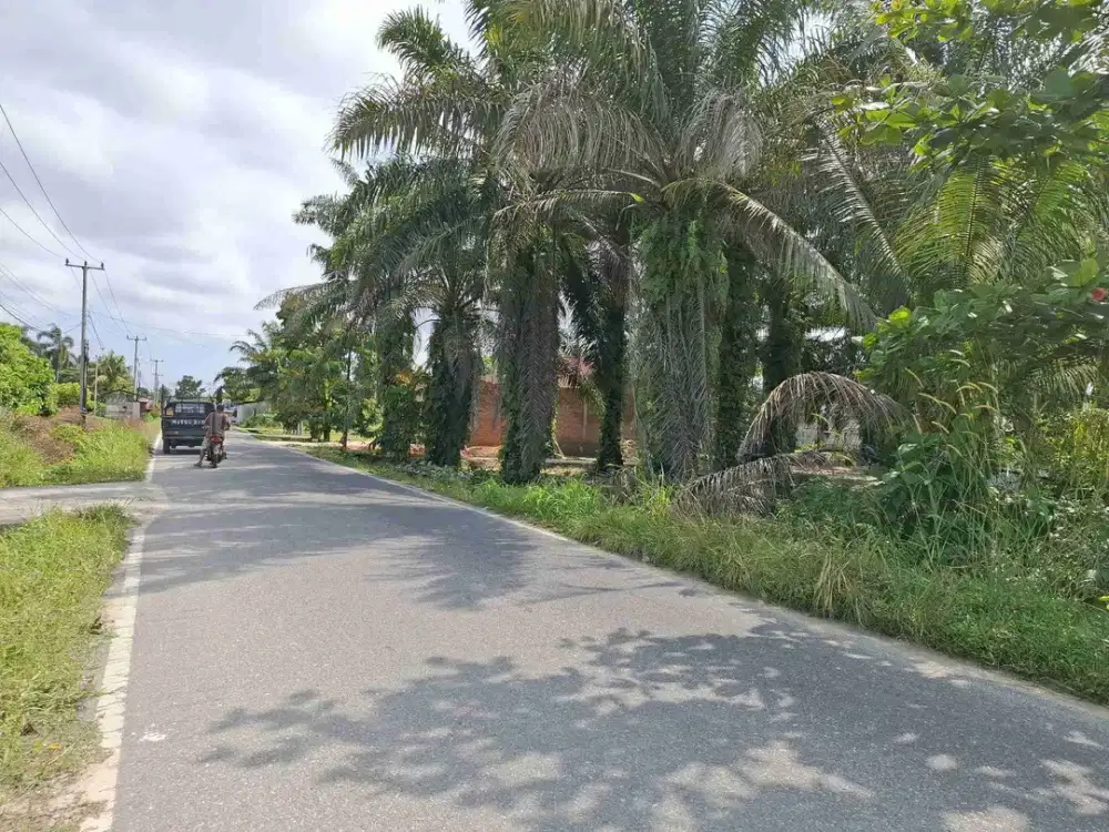 Tanah tepi aspal jalan Kadiran kulim, dekat Taman Agro wisata