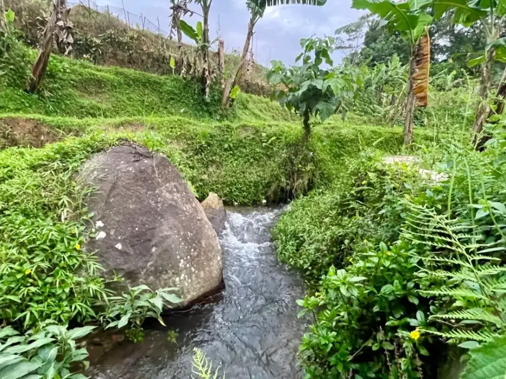 Dijual Tanah Air Mengalir Udara Dingin Cihanjawar Bojong Purwakarta