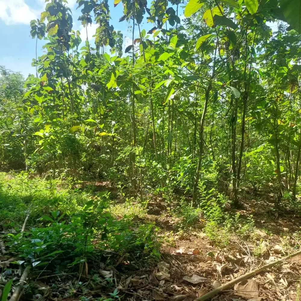 Dijual Tanah di Boyolali, Jawa Tengah