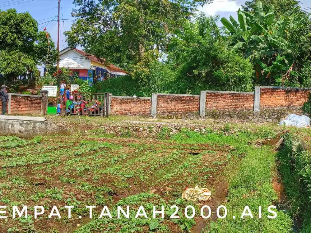 Dijual sebidang tanah luas subur kebun sawah pinggir jalan akses mudah.