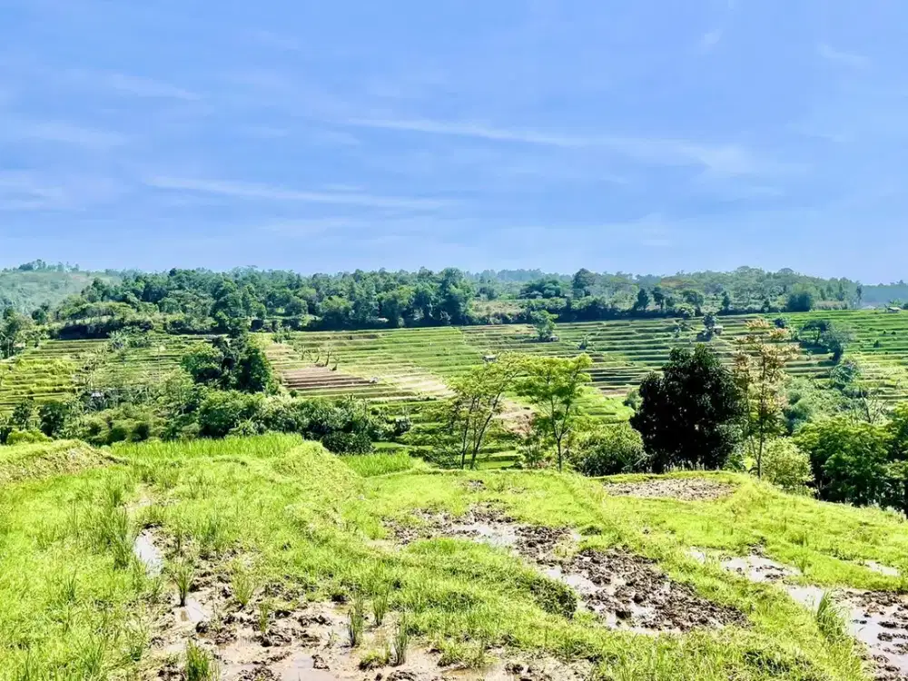 Dijual Murah Tanah 4426 m2 di Perbatasan Bandung Barat dan Purwakarta