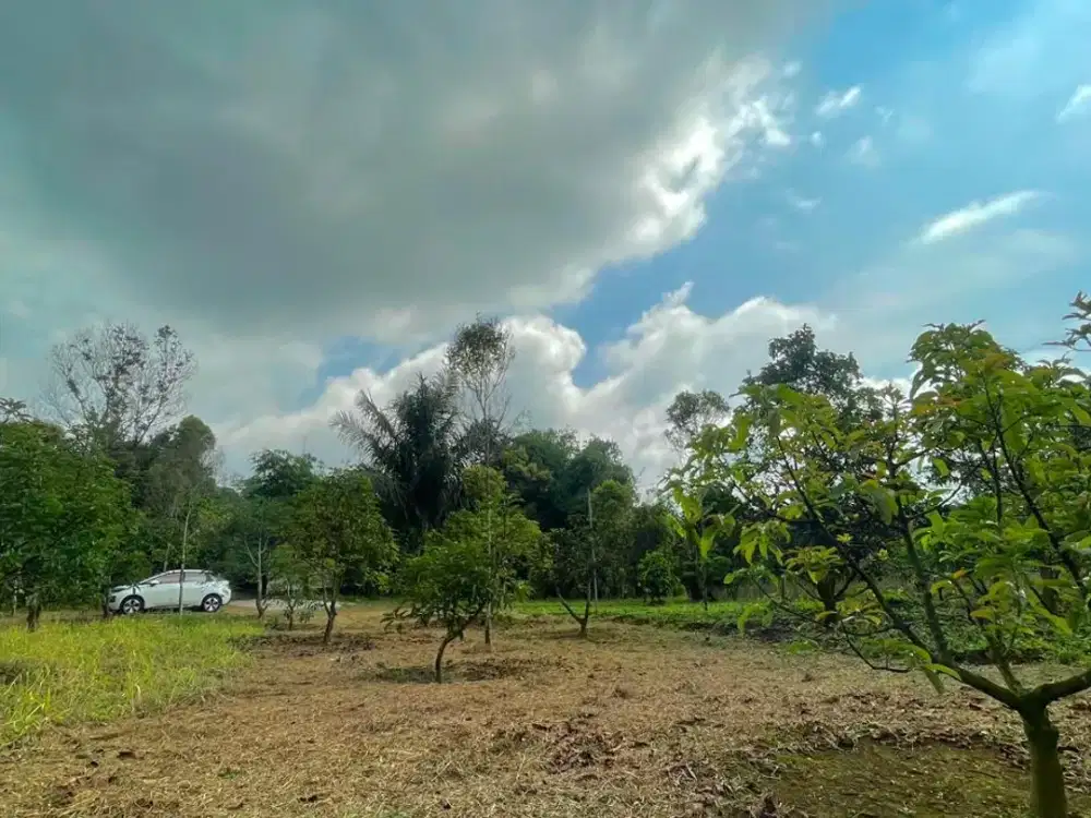 Tanah Kebun 9213 m2 Bisa Beli Sebagian Dijual Murah di Purwakarta