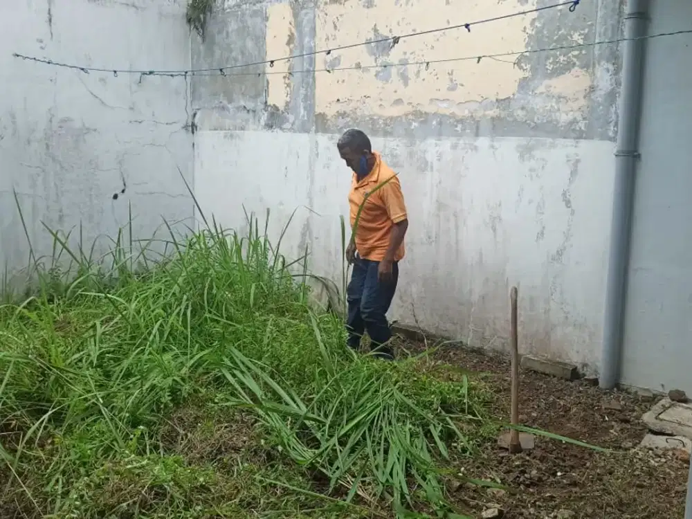 Rumah Murah Dekat Kebun Raya Bogor - Rp. 1.2 m Open Nego