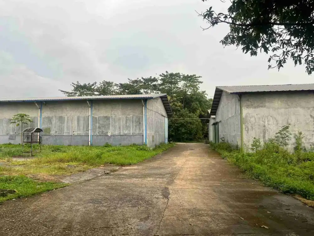 DISEWAKAN GUDANG STRATEGIS – CICALENGKA BANDUNG

Pilihan tepat untuk usaha, distribusi, atau penyimpanan skala besar. Akses mudah & siap pakai!

Tersedia beberapa ukuran:
• 4.224 m²
• 1.728 m²
• 1.008 m²
• 420 m²

Keunggulan:
✔ Akses kontainer (truk besar