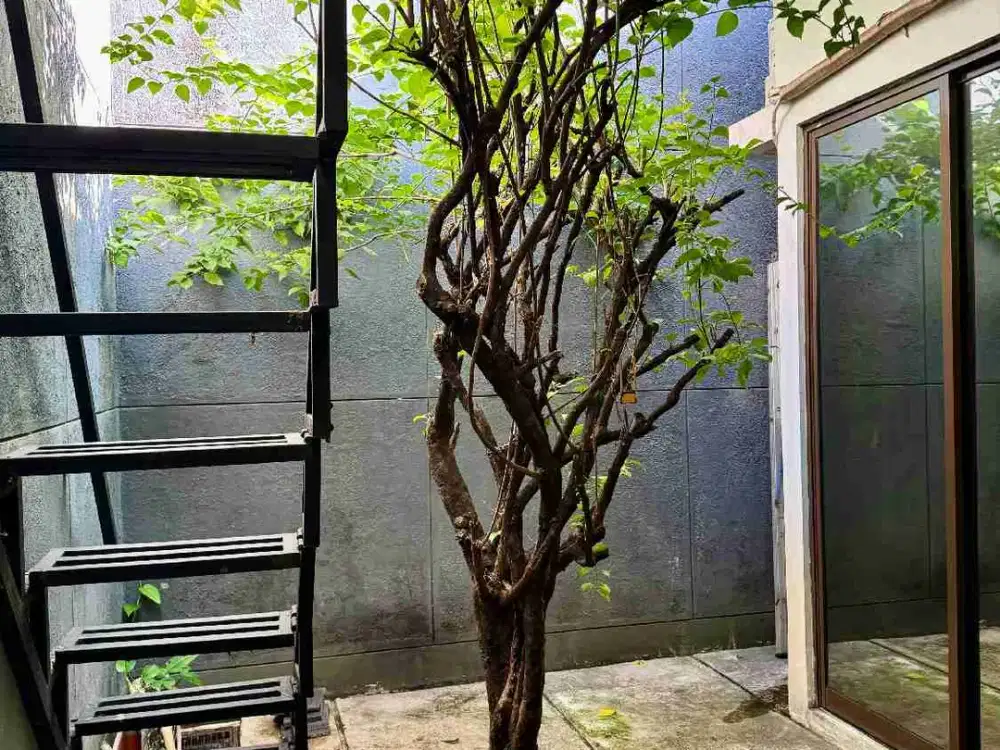 Dijual Rumah Cluster Mayfield Greenwich Park Bsd