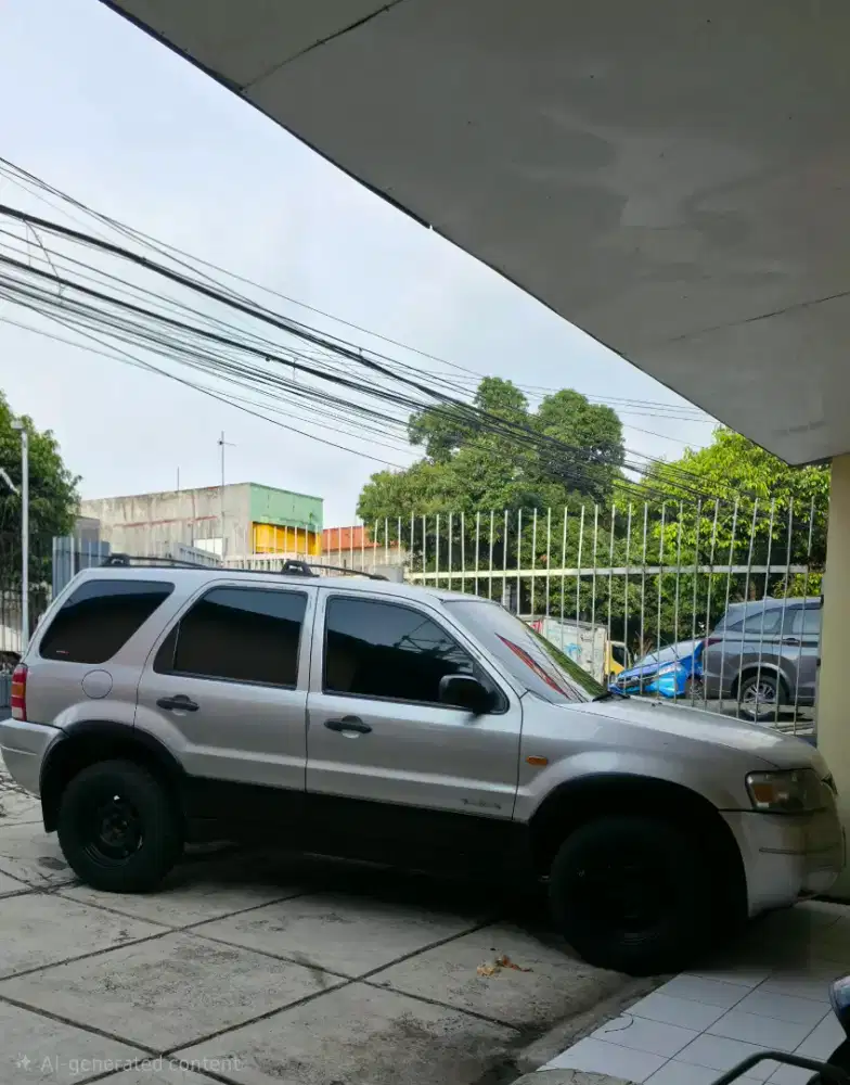 Ford Escape 2003 Well Maintenance