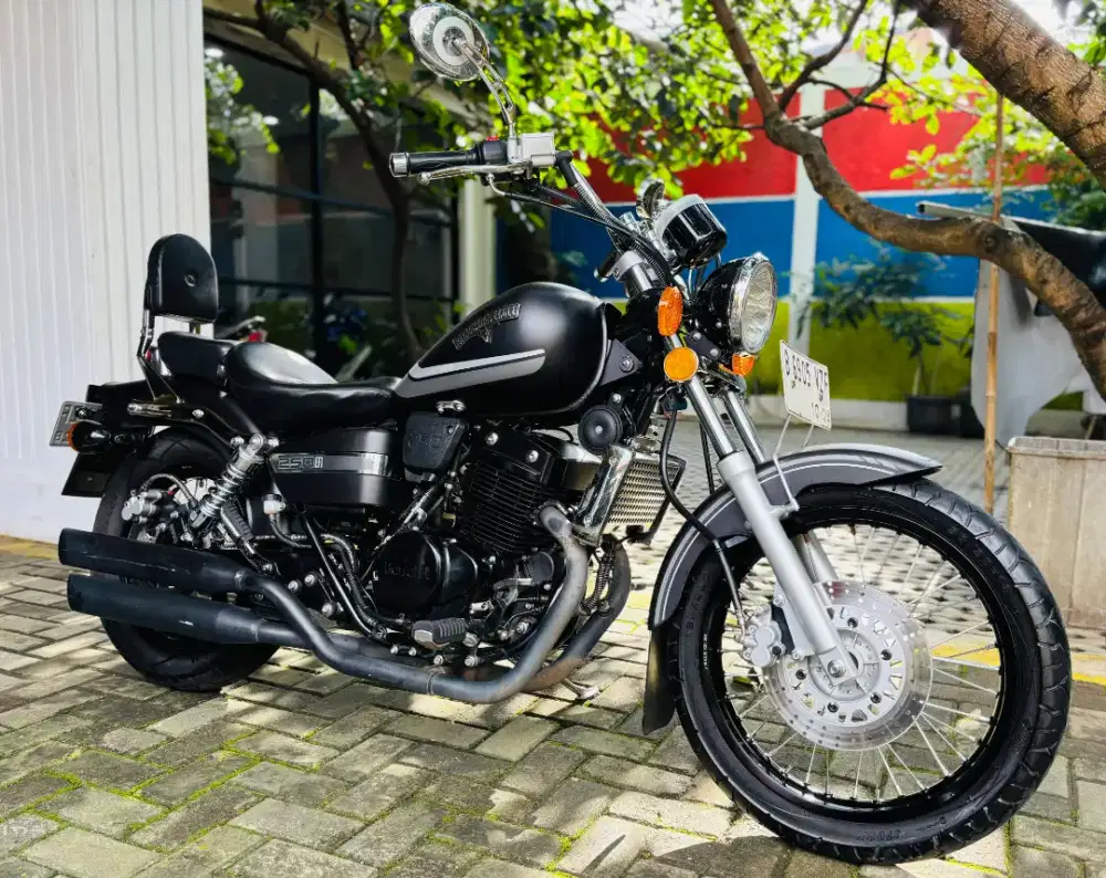 Benelli patagonian eagle