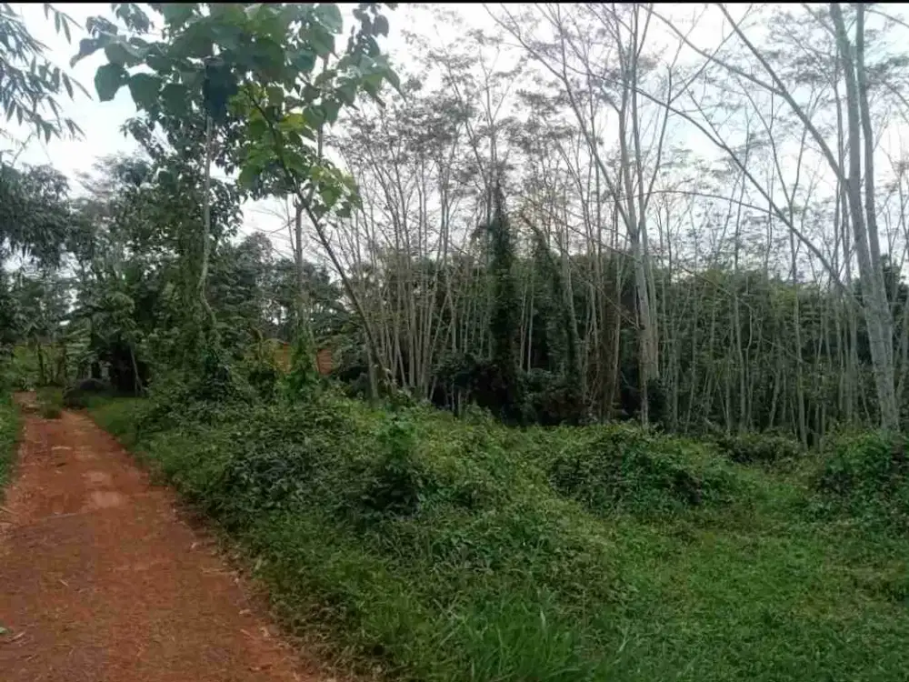 Tanah 20.000 m2 Zona Ternak Ayam Subang