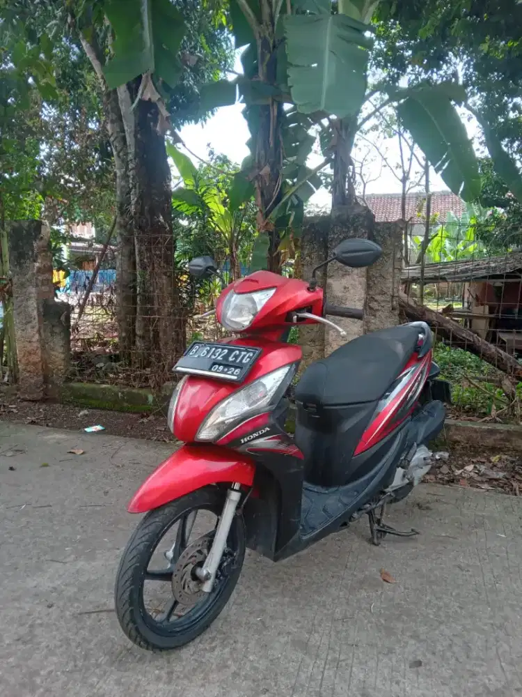 Spacy 2011 pajak hidup