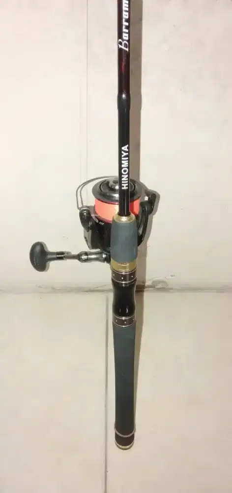 Jual Riel meek hinomiya