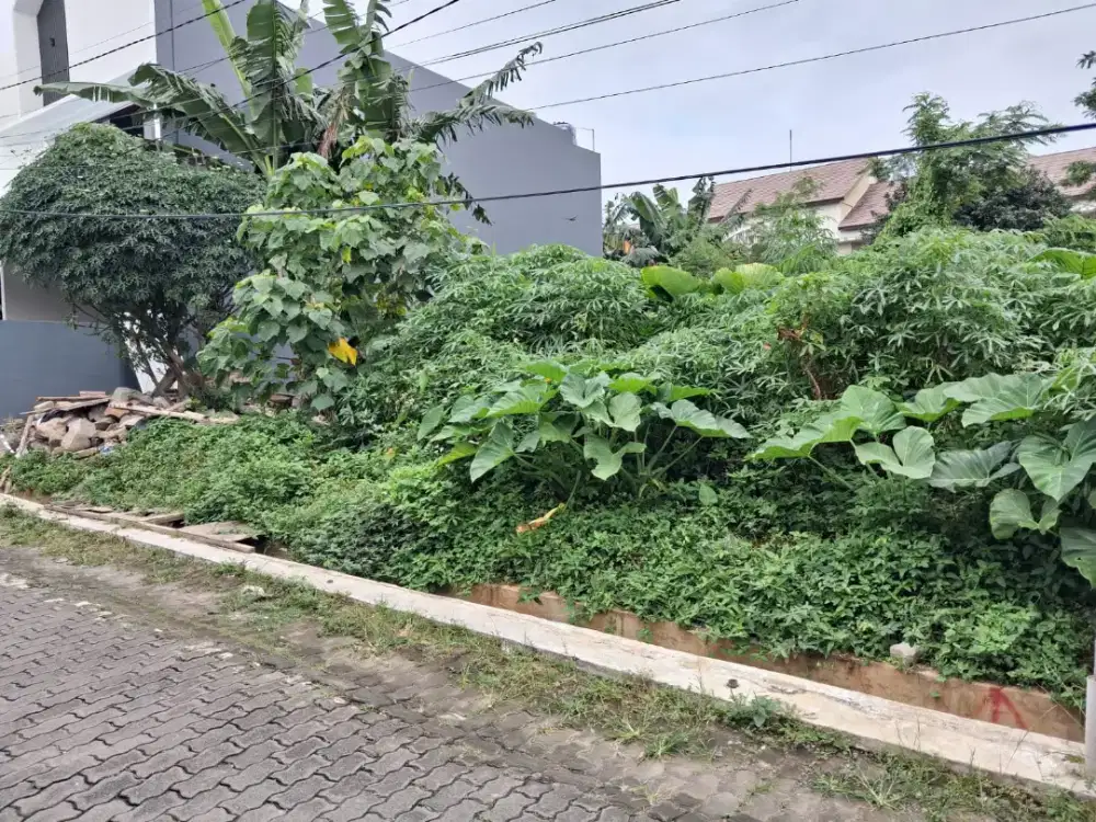 TANAH SIAP BANGUN MANGGA JATI BANYUMANIK