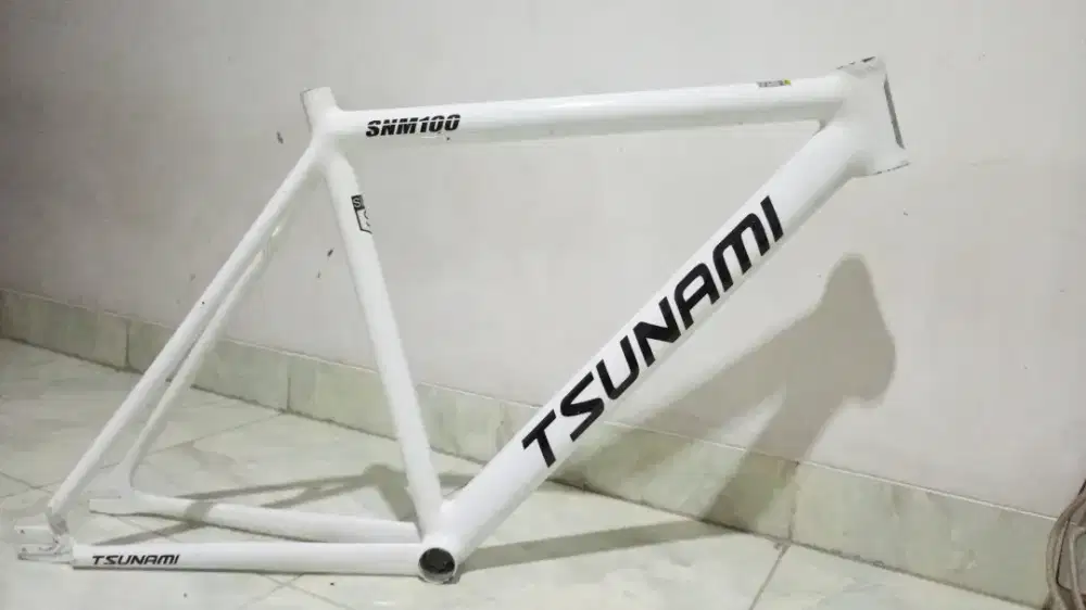 frame custom tsunami