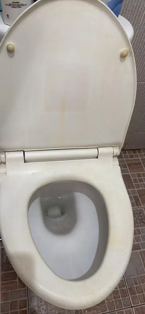 Toto closet eco washer