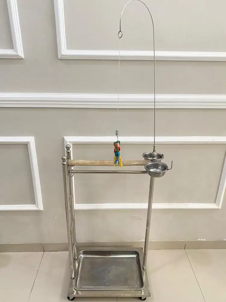 Tangkringan parrot jumbo