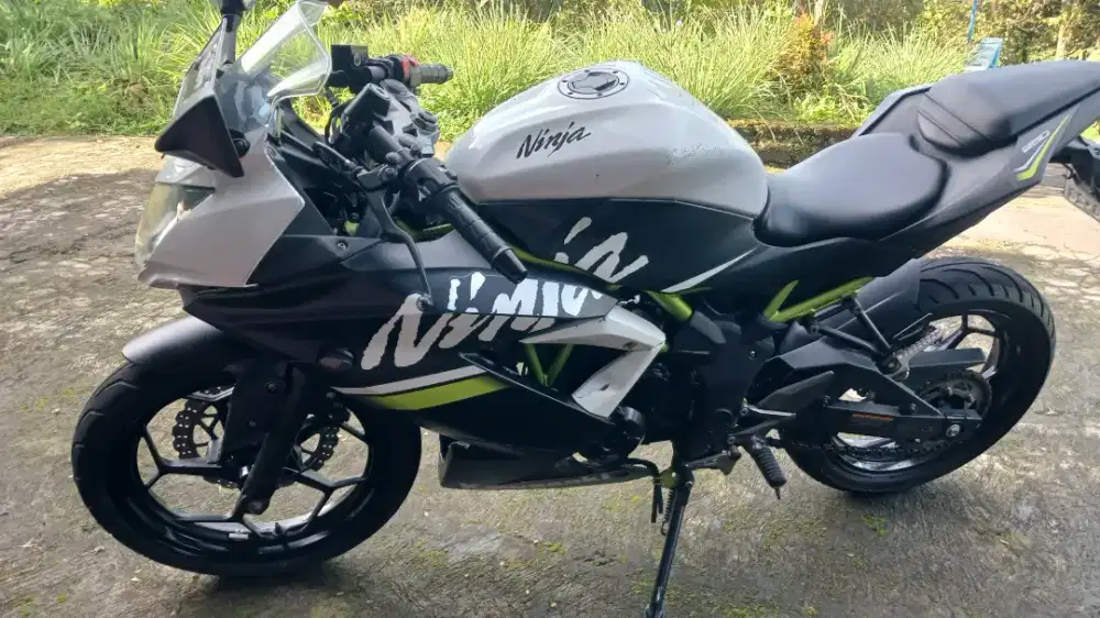 Ninja 250 sl mono