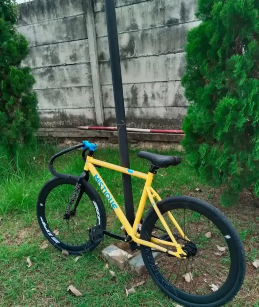 Wts Sepeda fixie
