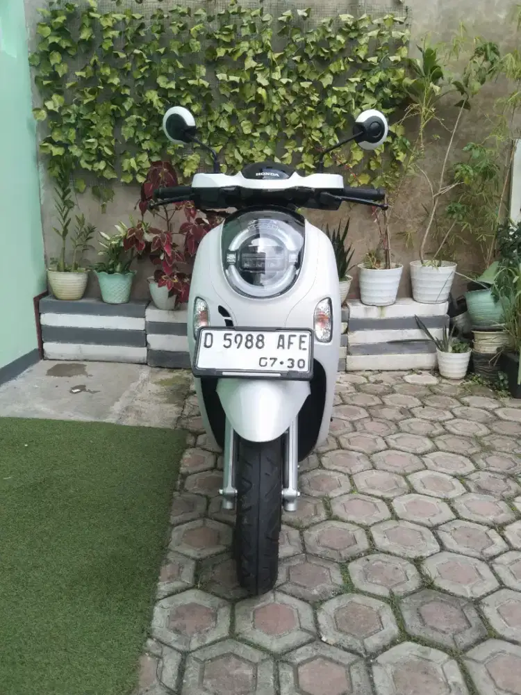 HONDA SCOOPY PRESTIGE 2025 KEYLESS TERAWAT.