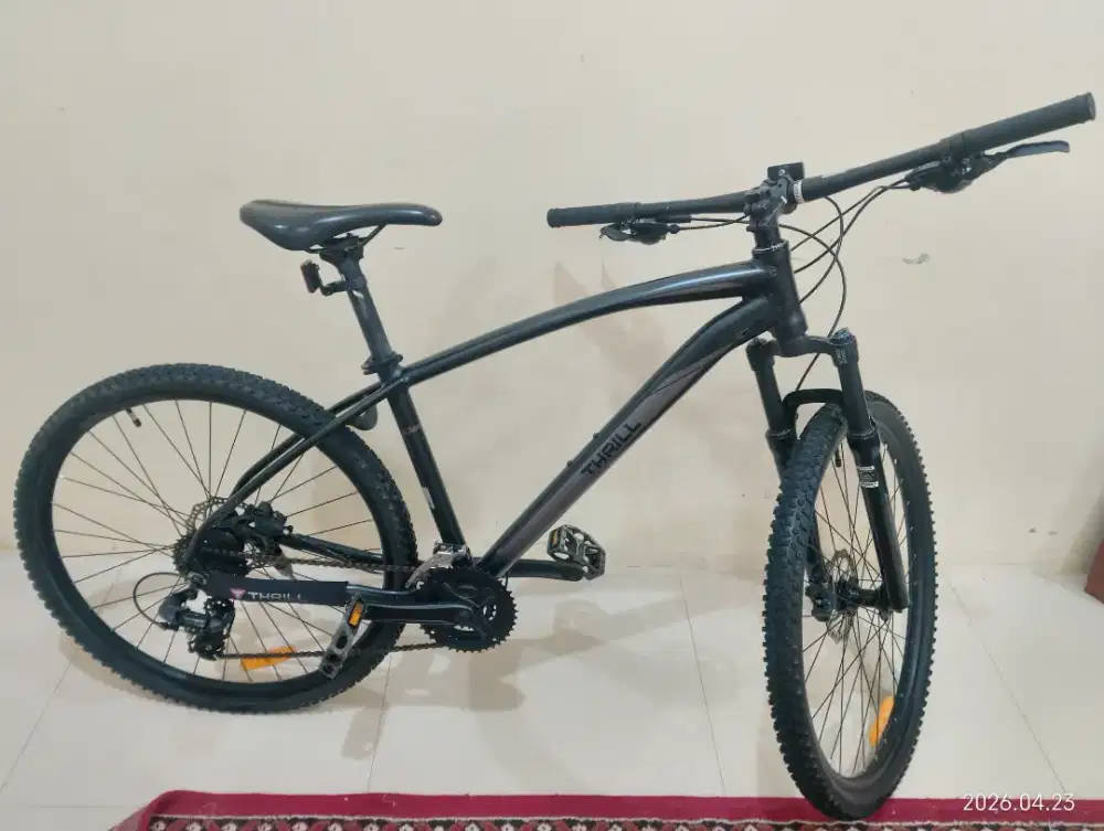 MTB Thrill Cleave1.0