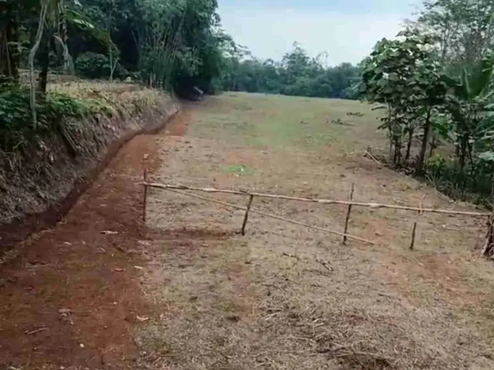 Tanah 5000 m2 Zona Ternak Ayam Subang