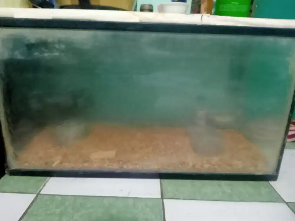 Jual aquarium ikan