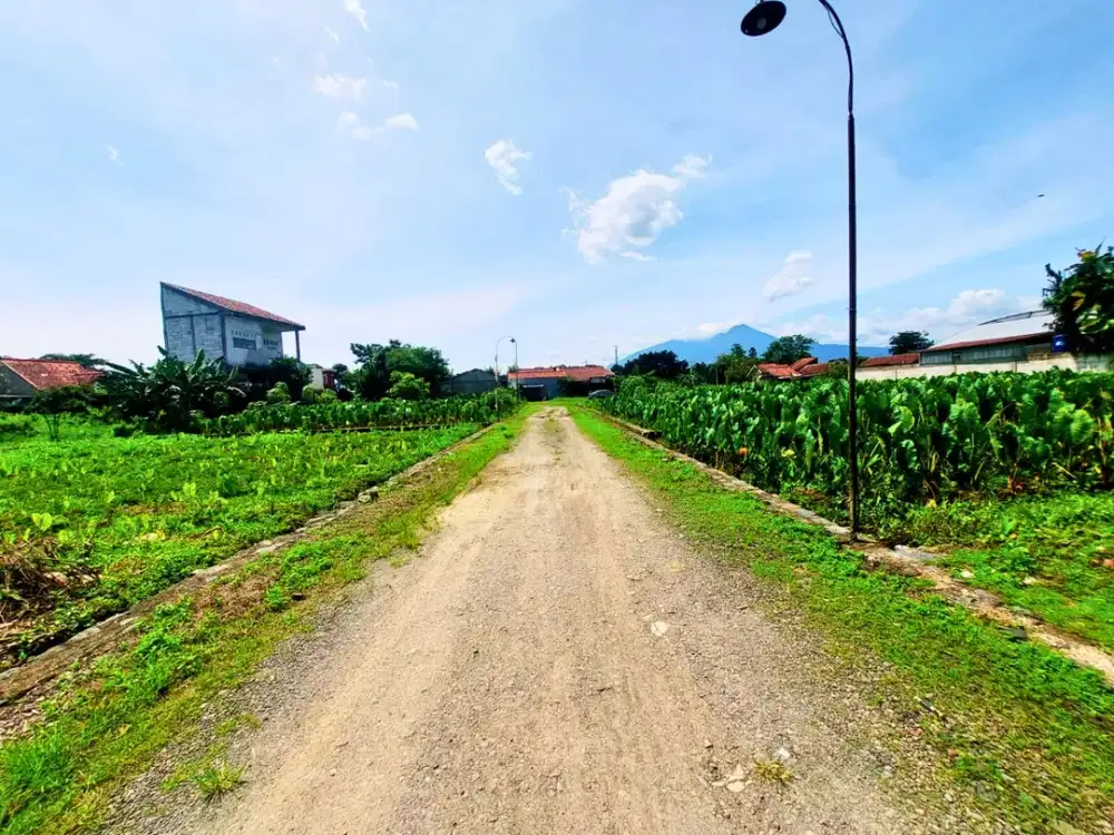 Tanah Murah Dalam Perumahan Dekat Kampus IPB, SHM