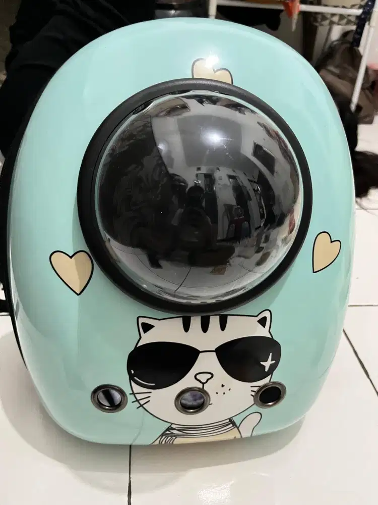 Tas dan pakaian kucing