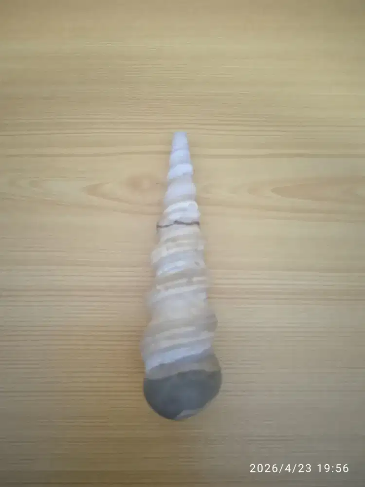 Batu Keong puser 7 tingkat