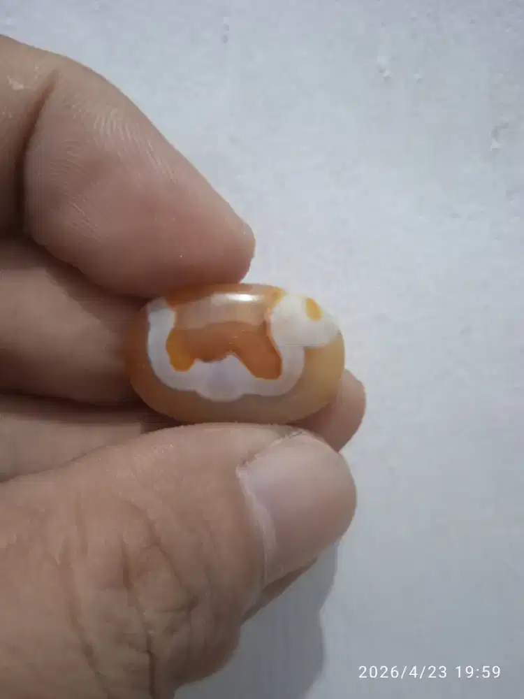 Akik gambar ular kolektor item antik