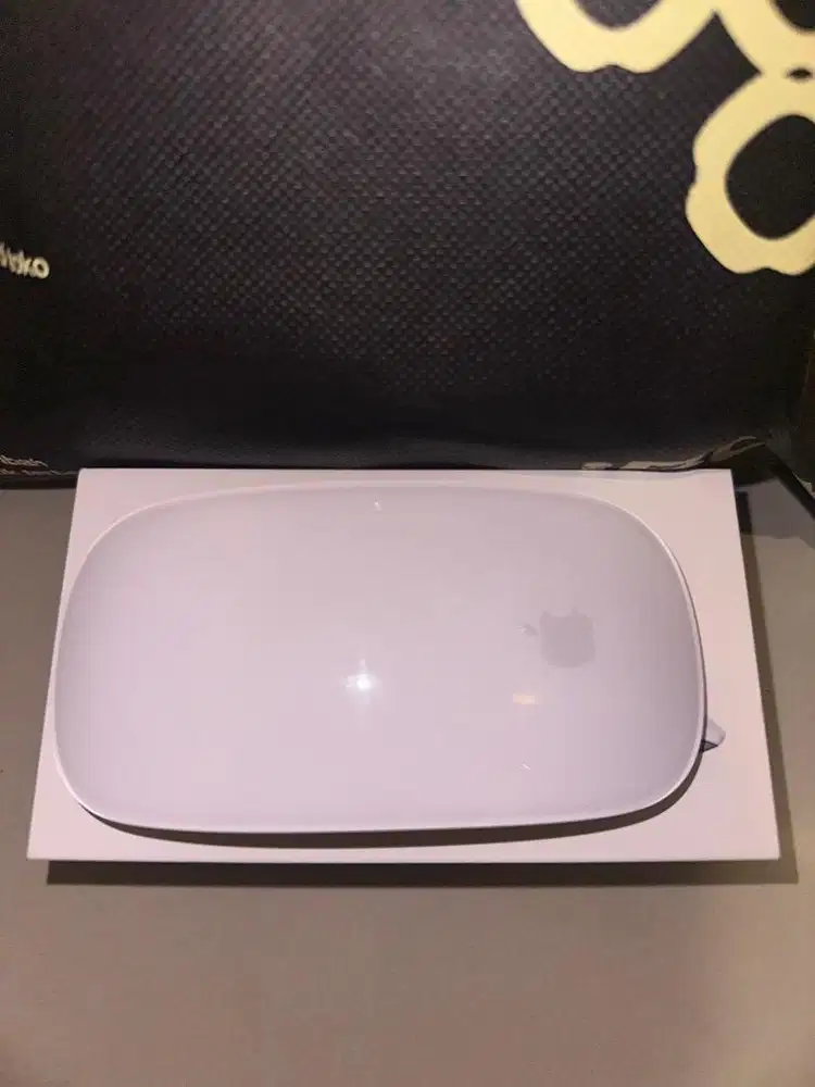 Apple Magic Mouse USB C