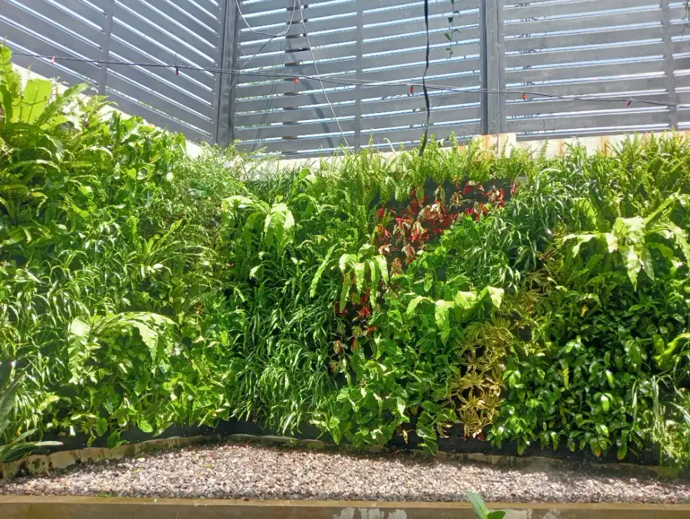 Taman vertikal garden, tamanan dingding Vertikal garden,taman modern