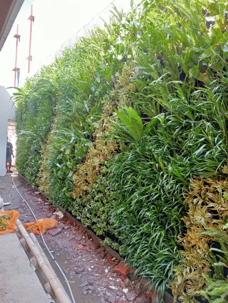 Tanaman Vertikal garden, taman dingding Vertikal garden