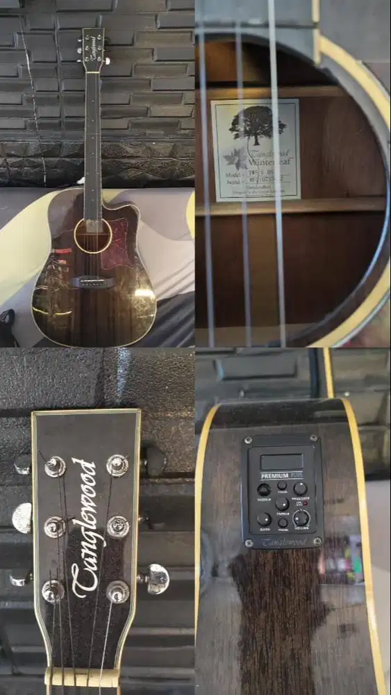Dijual Gitar Akustik Merk Tanglewood TW5 E BS Winterleaf & Stand Gitar
