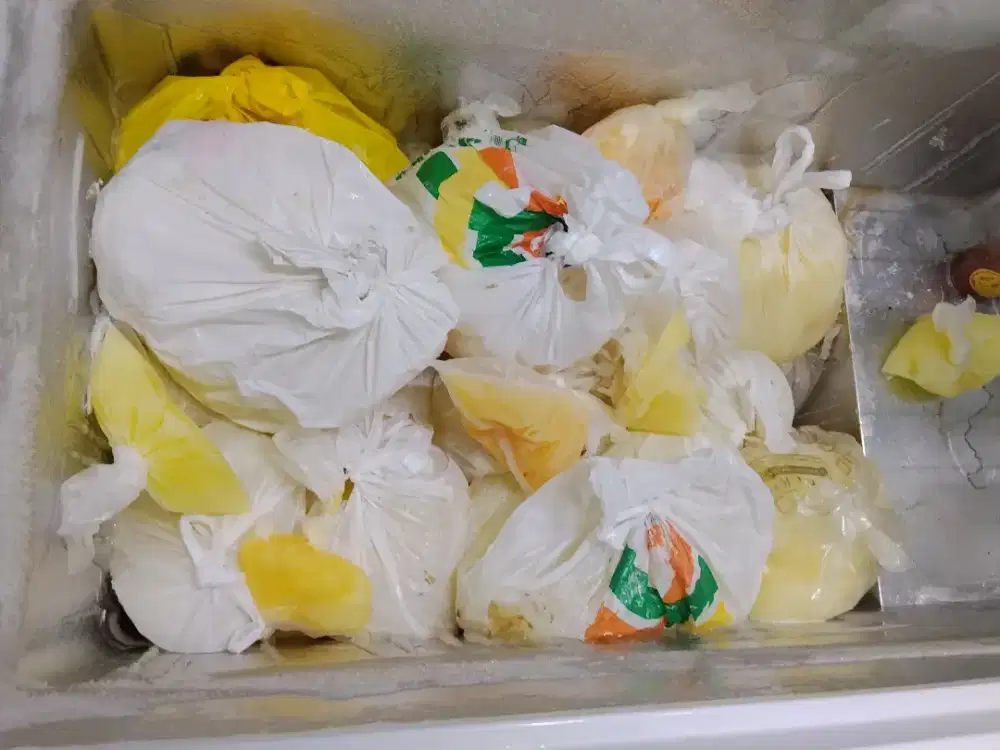 Putih telur ayam negeri