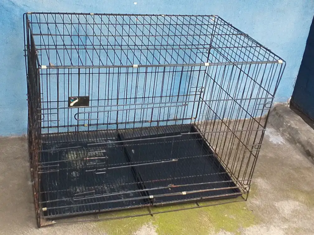 Kandang kucing UK 90 x 60