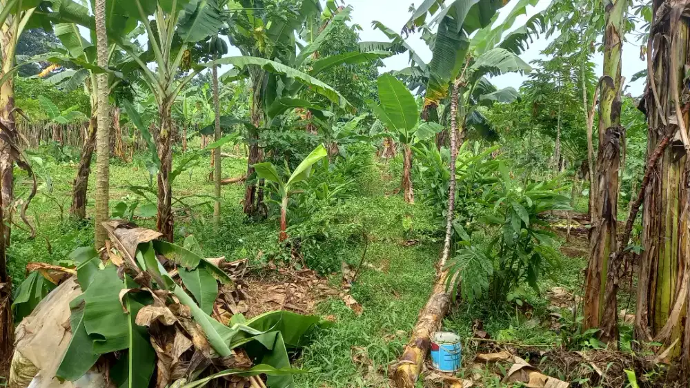 DIJUAL MURAH TANAH RATA & STRATEGIS