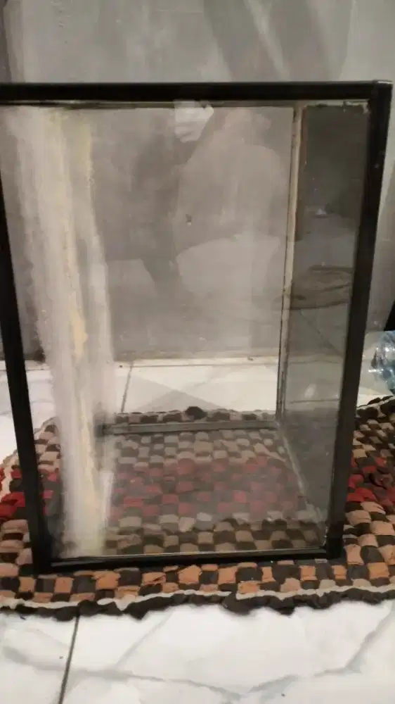 Akuarium aklirik bagus mulus