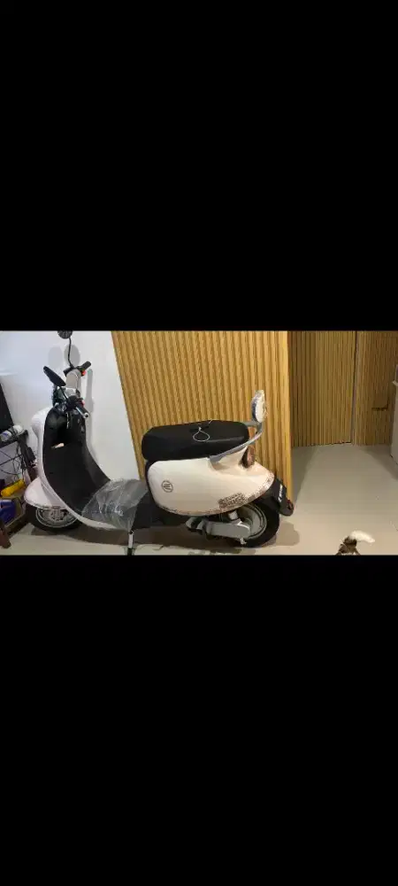 Jual Motor Listrik Layak Sepeda Listrik Kondisi Mulus