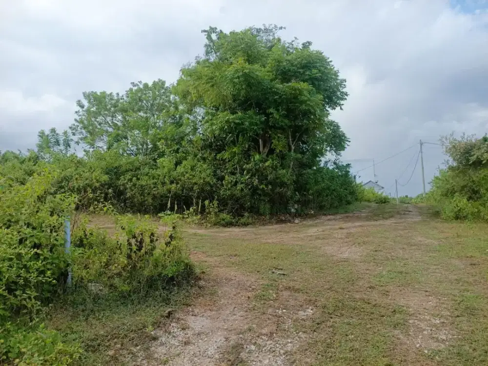 Tanah Area Villa di Sawangan Bali, View Laut & Dekat Golf