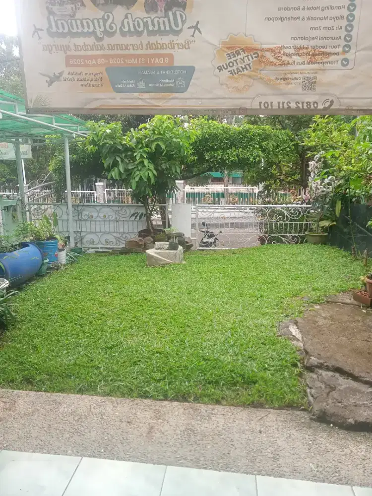 Perawatan taman dan tebang pohon