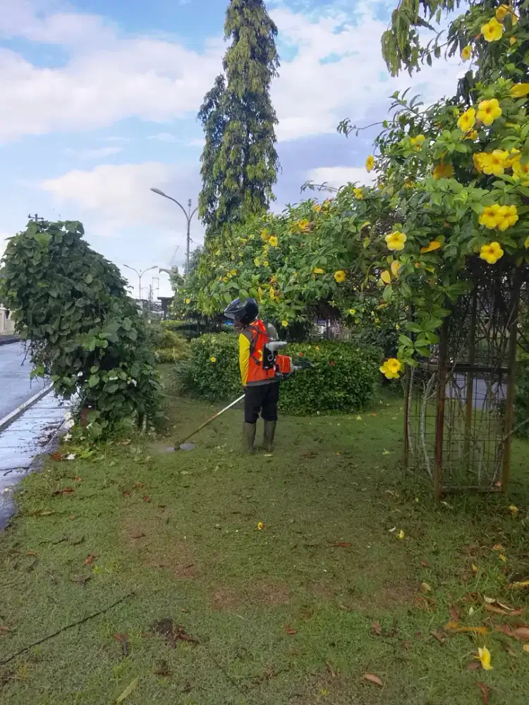 Jasa potong rumput sleman